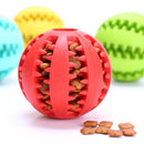 Bola interativa de higiene para cães-EasyPet