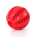 Bola interativa de higiene para cães-EasyPet