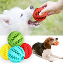Bola interativa de higiene para cães-EasyPet