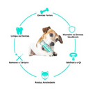 Escova de Dentes Canina-Dogbrush Pro